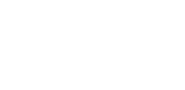 Partikelfilter Profis – Das Original